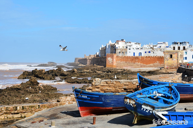 Essaouira Coast, Morocco