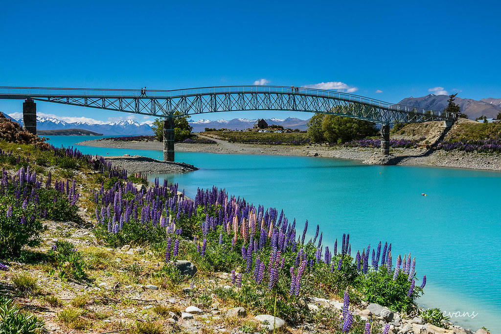Lake Tekapo Footbridge Opening, MacKenzie Country, NZ | Flickr