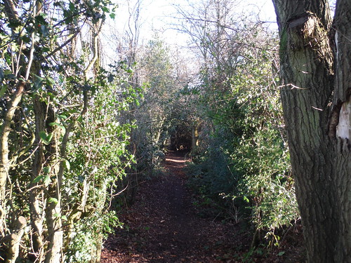 Enclosed Path, Swan Bottom SWC Walk 140a Wendover to Great Missenden