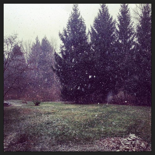 Snow! #snow #trees | by sarapicassa