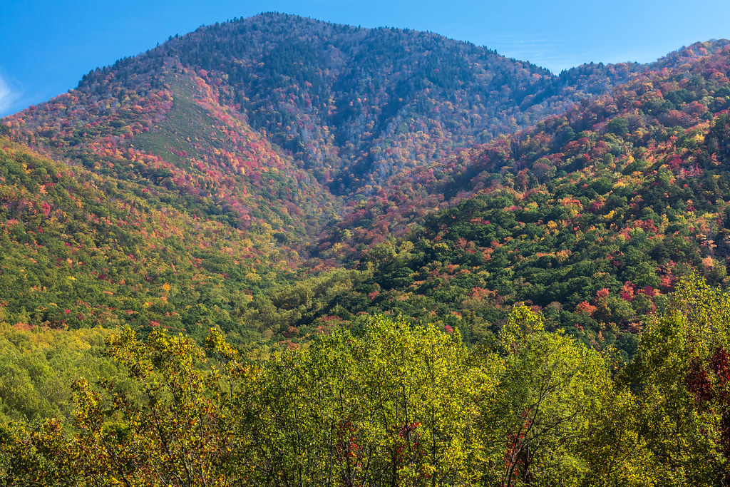 Mountain Color | Fall colors from Carlos Campbell Overlook i… | Flickr