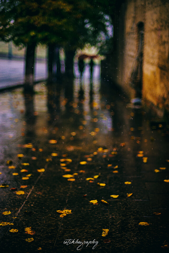 Rainy Autumn | Gio Bejanishvili | Flickr