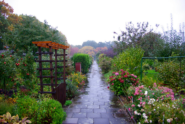 Der Garten am 16. Oktober 2015
