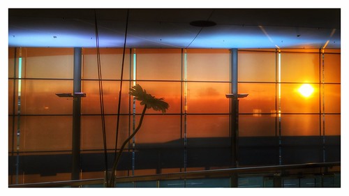 morning colors sunrise flughafen iphone abflughalle farbenspiele farbkompositionen airportgraz iphone6splus
