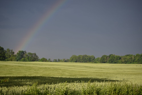 sky storm field rainbow wheat