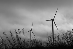 Wind farm in Łęki Dukielskie