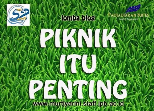 banner-lomba-blog-piknik