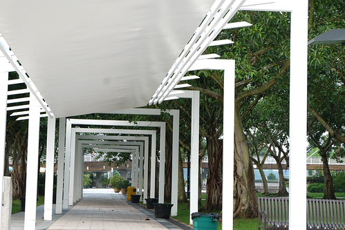 pathway | by gloriaaa1