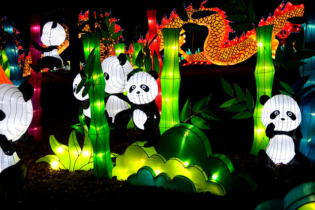 Panda garden
