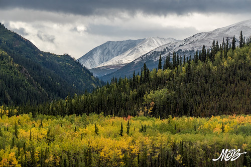 Denali NP, Alaska