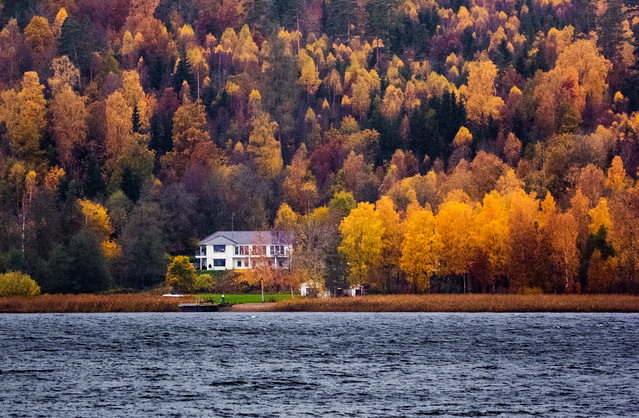 The house in autumn