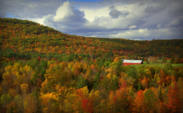 Fall colors in Landaff