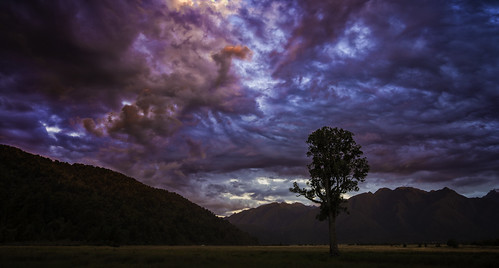 sunset newzealand tree clouds vivid nik jamesgibson
