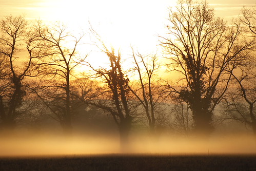 Matin en Mayenne by oletourn, canon soleil hiver brume mayenne 2015 reivilo