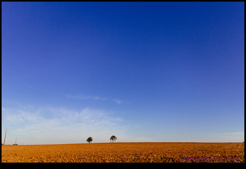 150930-2552-EOSM.jpg by hopeless128, trees france tree landscape lone eurotrip lonetree 2015
