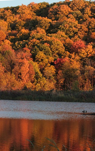 autumn ontario canada reflection lagoon niagaraonthelake ontarioyourstodiscover niagaracollege