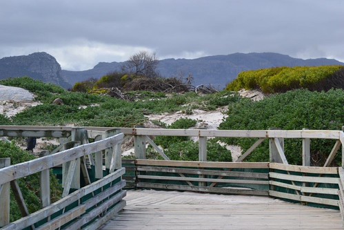 Cape Town