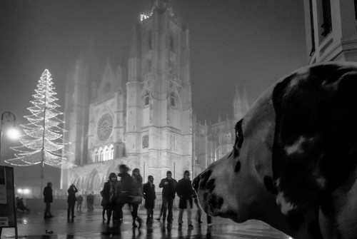 street españa fog night noche calle spain cathedral catedral cathédrale fray rue león espagne nuit niebla brouillard littledoglaughedstories littledoglaughednoiret