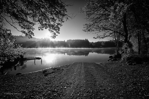 lac lake saintpardoux france campagne country landscape paysage noiretblanc blackandwhite