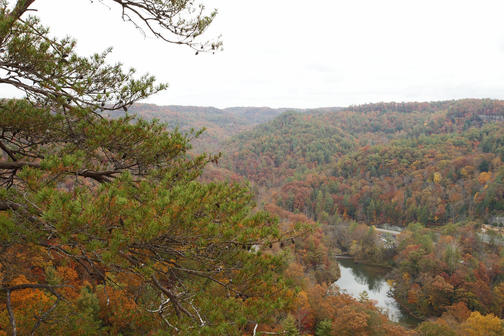 RED RIVER GORGE