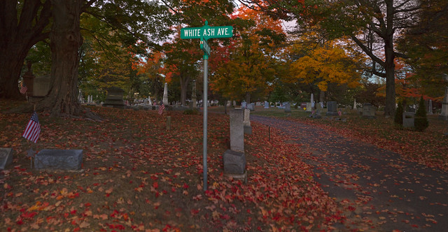 Foliage at Lakeside Cemetery; Wakefield, MA (2015)