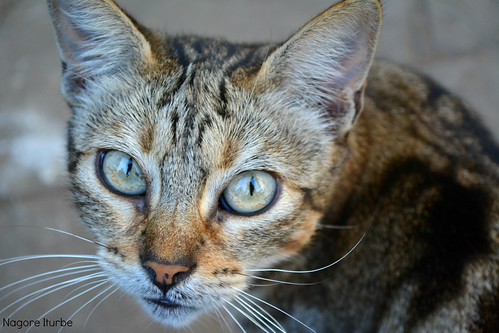 I see you | by Nago Iturbe