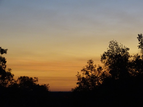 dawn australia northernterritory litchfieldnationalpark