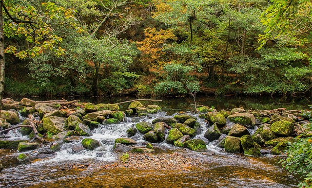 Autumn colours on the River Teign