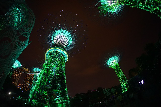 Garden by the bay, Singapore - super tree