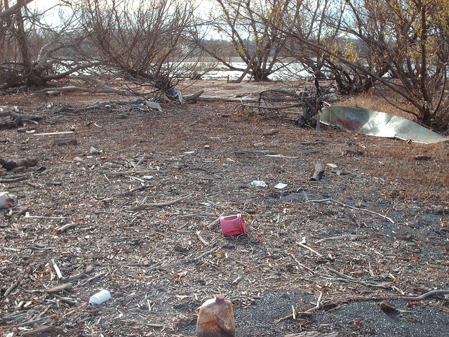 Trash and Litter along the shores of the Falls of the Ohio State Park, Clarksville, IN
