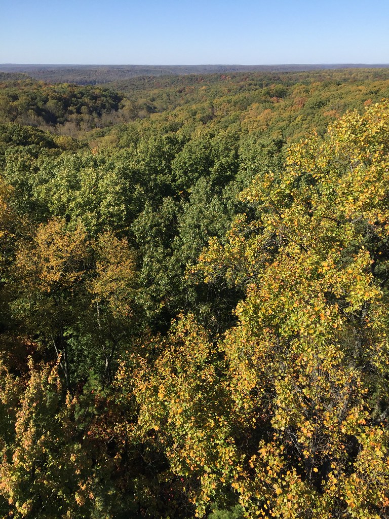 Sycamore Trail