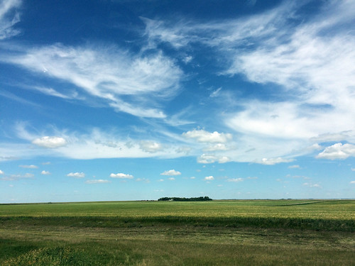 summer canada field saskatchewan 2015 prairie