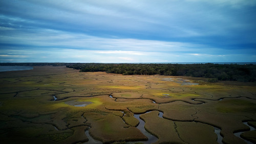 ameliaisland mavicpro marsh