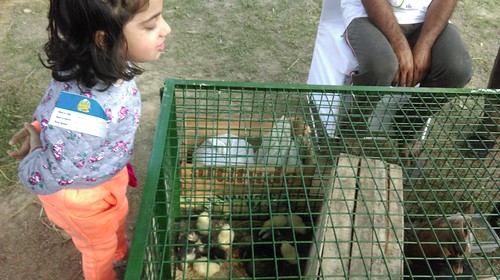New photo added to gallery | by kathpalia@ymail.com