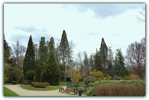 (43) Les arbres du Jardin Vinay (Le Puy-en-Velay) 21972024893_84402ac8b7