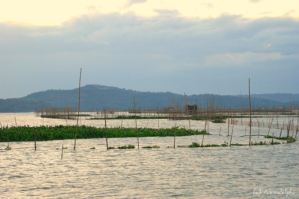 Baklad @ Laguna Lake | Baklad means fish pen within the lagu… | Flickr
