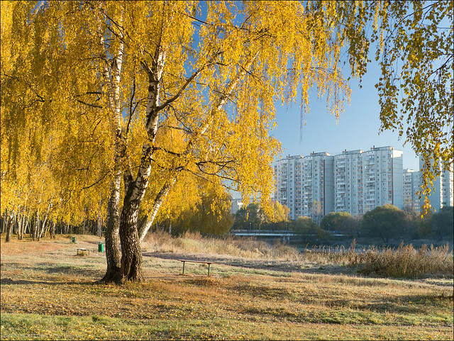 Russia. Balashikha. Golden Autumn.