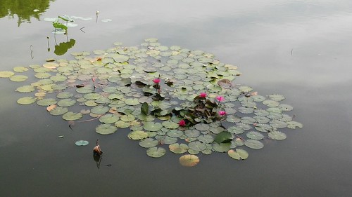2013-09-02 08.26.44 | by Tran Phan Quang Vu