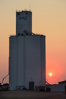 Smoky Sunrise, Allen Mitchek Grain Elevator - Sterling, CO