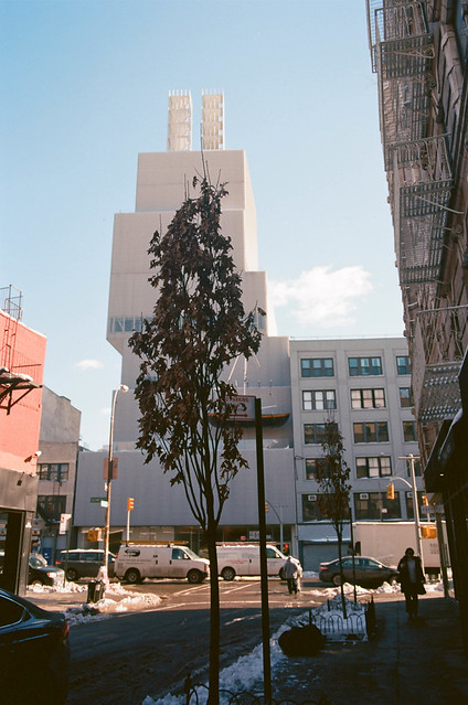 New Museum and Tree