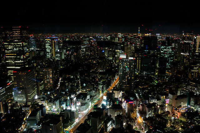 Tokio Night View