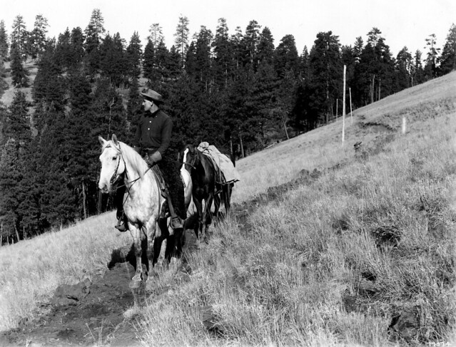 077974 Ranger & Horses, Davis Cr Canyon, Wallowa NF, OR 1908