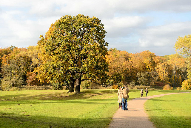 6502 Herbststimmung im Hamburger Jenischpark - herbstlich gefärbte Bäume, Goldener Oktober - SpaziergängerInnen.