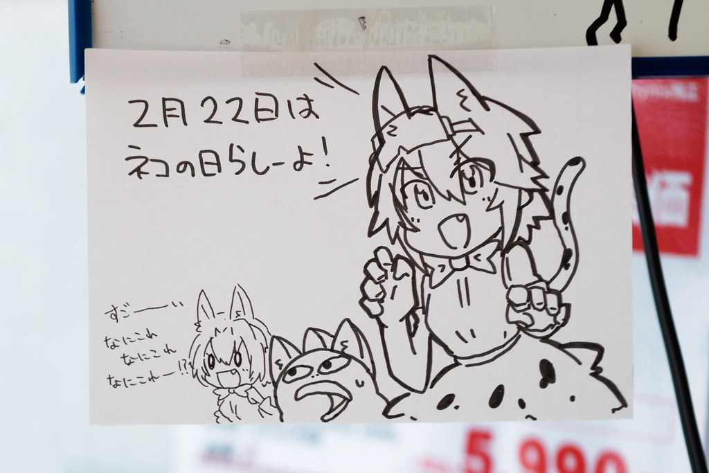 2月22日はネコの日らしーよ すごーいなにこれなにこれなにこれー けものフレンズ風アク子 ひほすけ アー Flickr