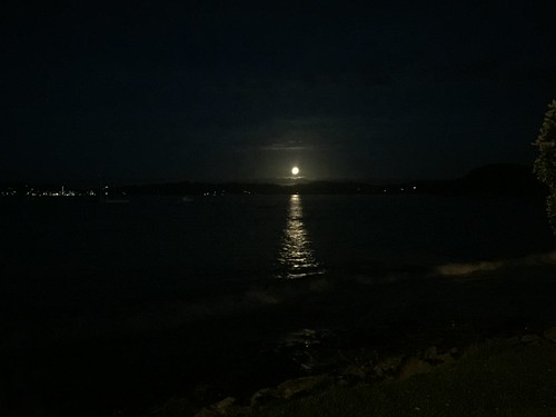 new zealand north island bay islands paihia sunset moon