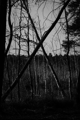 allemagne bw backlight countryside day decay desert deutschland documentary europa forest hardcontrast lake landscape light loneliness m42mount mecklembourgpoméranieoccidentale mecklemburgopomeraniaoccidental mecklenburgvoorpommeren mecklenburgvorpommern mecklenburgwestpomerania meclemburgopomeraniaanteriore meklemburgiapomorzeprzednie minimal outside primelens russianlens scenery travelphotography tree vacation water sonya6000 blackwhite monochrome europe germany helios44258 travel woods abstract rural nature dark natural nopeople helios44m4258