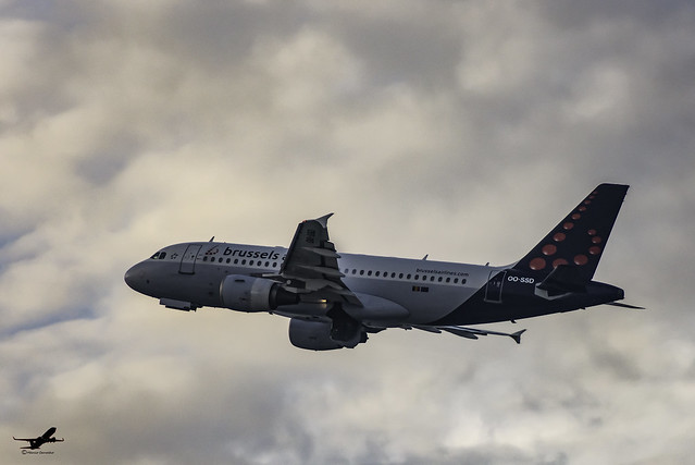 Brussels Airlines Airbus A319 - OO-SSD (3)