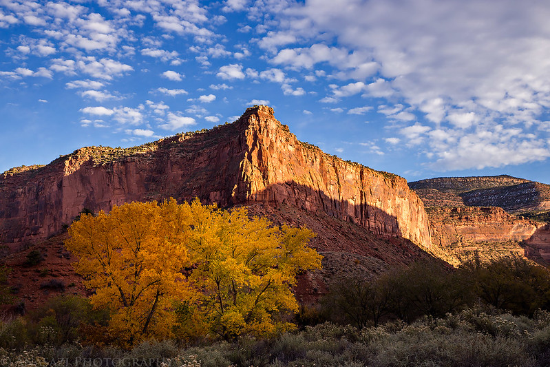 Dolores River Canyon Colors