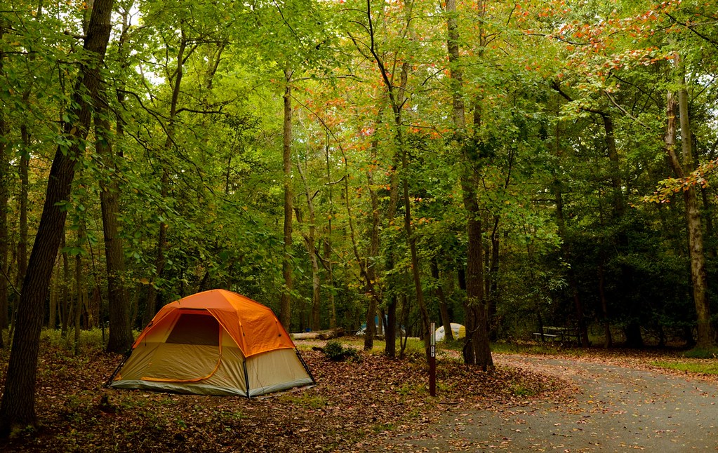 Greenbelt Park, Maryland campground Greenbelt Park, National Park