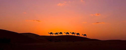 Wahiba Sands